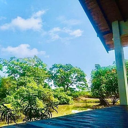 Thihawa Eco Huts Yala Bed and Breakfast Tissamaharama Buitenkant foto
