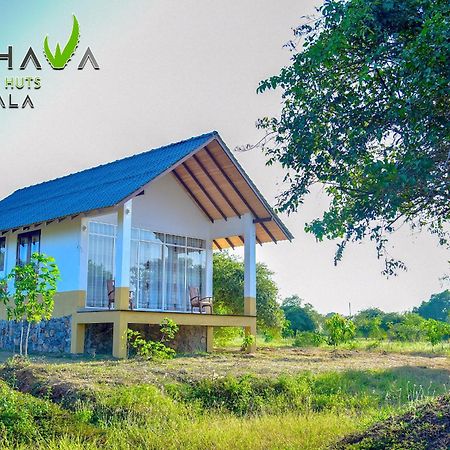 Thihawa Eco Huts Yala Bed and Breakfast Tissamaharama Buitenkant foto