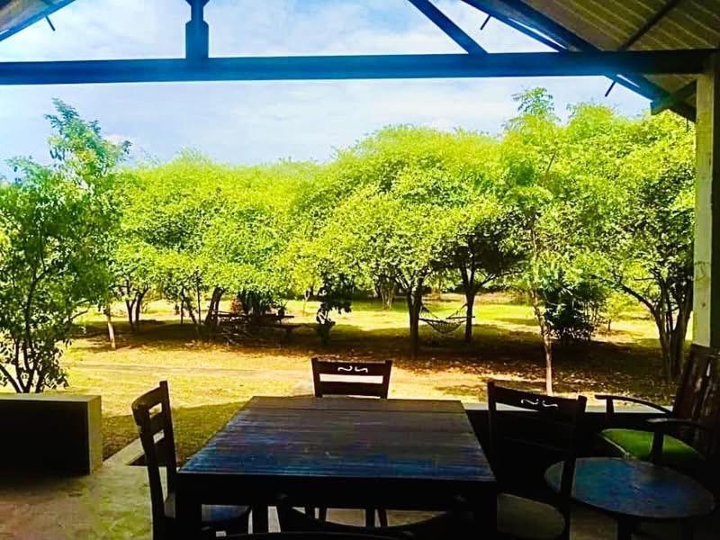 Thihawa Eco Huts Yala Bed and Breakfast Tissamaharama Buitenkant foto