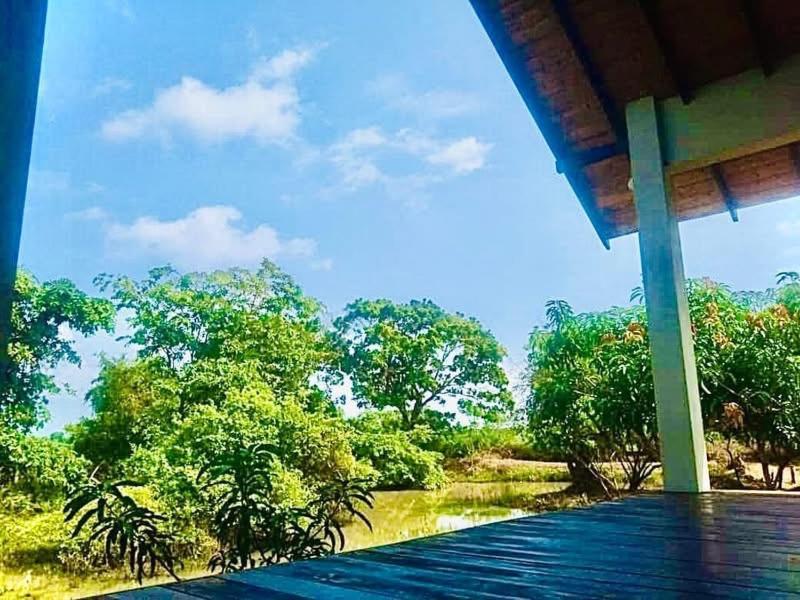 Thihawa Eco Huts Yala Bed and Breakfast Tissamaharama Buitenkant foto