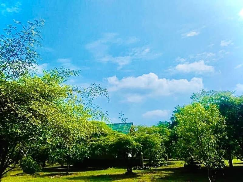 Thihawa Eco Huts Yala Bed and Breakfast Tissamaharama Buitenkant foto
