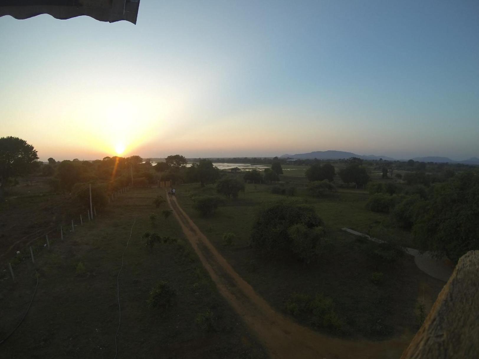 Thihawa Eco Huts Yala Bed and Breakfast Tissamaharama Buitenkant foto