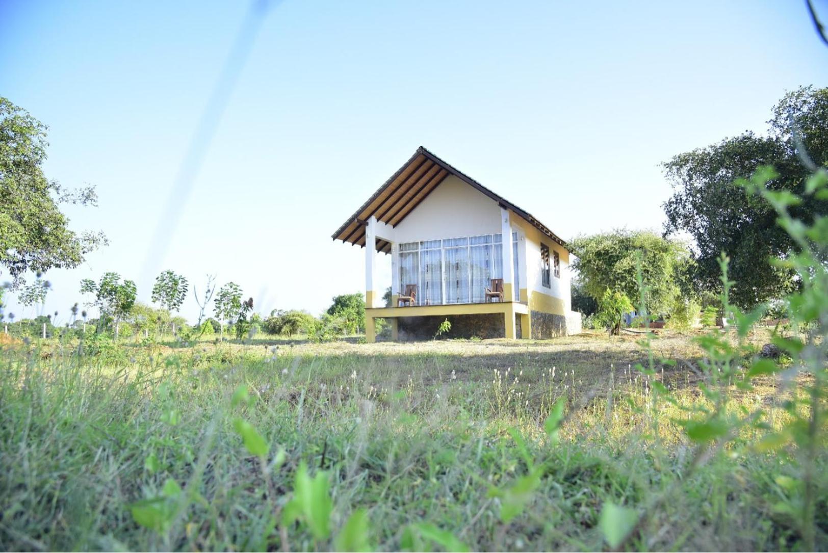 Thihawa Eco Huts Yala Bed and Breakfast Tissamaharama Buitenkant foto