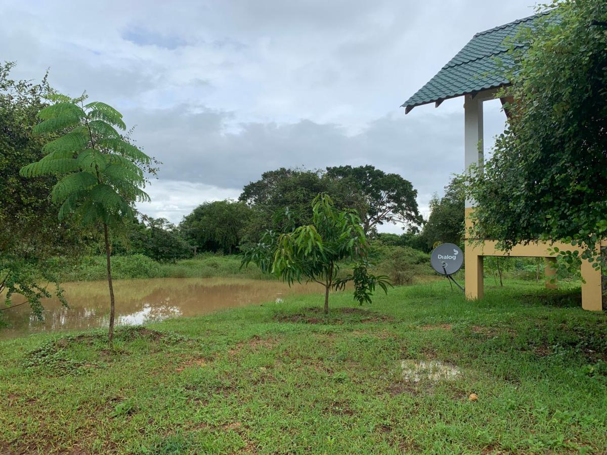 Thihawa Eco Huts Yala Bed and Breakfast Tissamaharama Buitenkant foto